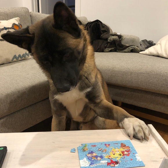 Meet your Posher, YL aka SammySue! - Picture 5 of 6